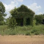 Kudzu house