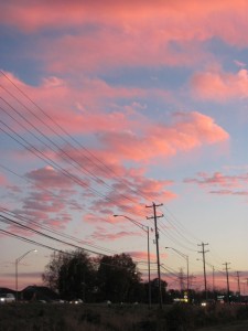 Pink Clouds in Sunset